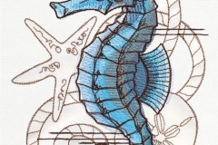 wp_Seahorse_Nauticus