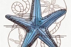 wp_Starfish_Nauticus