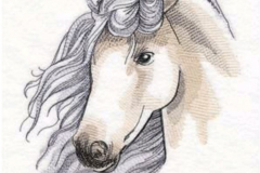 Elusive-Stallion