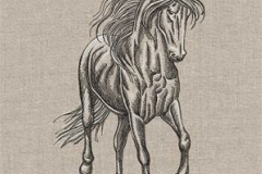 Majestic-Stallion