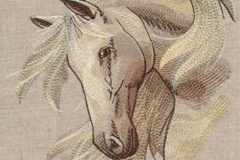 Wild-at-Heart-Stallion