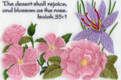 Desert-Shall-Rejoice